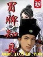 历史小说最新小说冒牌知县