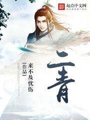 蓦然回首小说二青