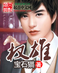 宝石猫新书权雄