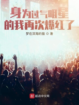 公司小说身为过气明星的我再次爆红了