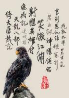 鹿鼎记小说金庸作品集（简体新版）