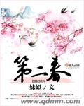 女生小说最新小说第二春