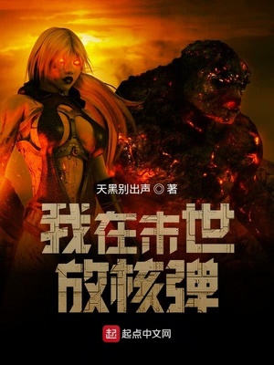 我在末世放核弹天空